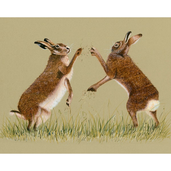 Boxing Hares, Clare Donegan, Signed Print, Award Winning, Countryside, Wildlife, Hunting, Shooting, Fishing, Boot Room, Watercolour