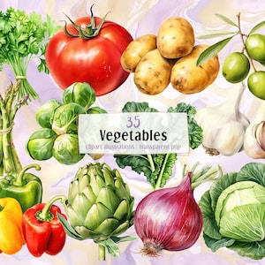Illustrations de légumes. Les agriculteurs commercialisent des produits végétaux frais, des oeuvres d'art botaniques saines. Légumes-racines, légumes-feuilles | clipart PNG
