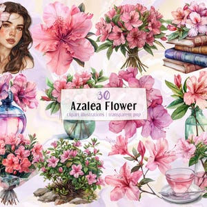 Ilustraciones de flores de azalea. Arbusto de flores rosas, decoraciones florales, ramo romántico, cabezas de flores, corona de azaleas, jarrones / Imágenes prediseñadas PNG