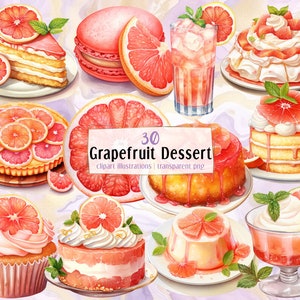 Grapefruit Dessert Illustrationen. Leckeres Zitrus Gebäck, cremige Torten, Eis, Cupcake, Panna Cotta mit Fruchtscheiben | PNG-Cliparts