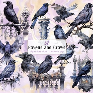 Prachtige aquarel Raven en Crow vogel illustraties. Zwarte vliegende vogels, gotische elementen, donker, mystiek | PNG-illustraties | directe download.