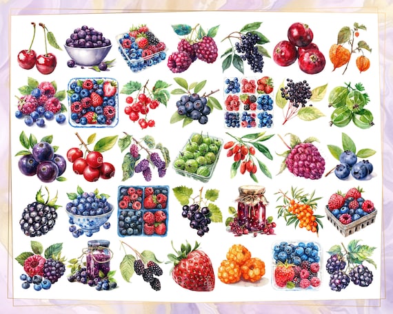 画材 berry Berries Illustrations. Wild Berry, Mixed Berry Basket Packed Snack