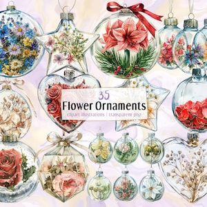 Ilustrações de enfeites de Natal de flores secas. Bolas florais de vidro transparente para festas e globos cheios de pequenas flores | PNG clip arts