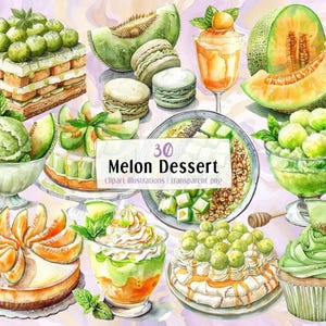 Ilustraciones de postres de melón. Pasteles con sabor a melón dulce y melón, helado verde, magdalenas, pasteles de frutas, parfait / Clip arts PNG