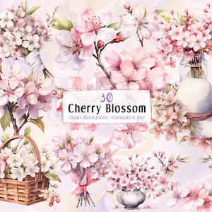 Puede incluir: Un conjunto de 30 ilustraciones de acuarela de flores de cerezo rosas. Las ilustraciones incluyen ramos, ramas y flores individuales. El texto "30 Cherry Blossom clipart illustrations | transparent png" está incluido en la imagen.