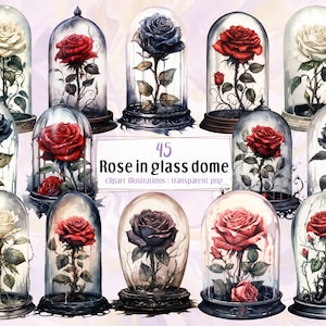 Enchanted rose in glass dome watercolor style illustrations. Beautiful mystical flower, dark fairytale roses | PNG clip arts | Digital files