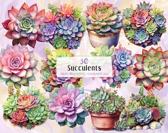 May include: 30 watercolor illustrations of succulents in various colors and arrangements. The succulents are in pots and some are on a white background with a marble pattern. The text "30 Succulents clipart illustrations | transparent png" is on a white rectangle.