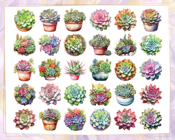 Succulents Illustrations. Beautiful Colorful Succulent Plants in Pot and  Soil, Plant Arrangements and Single Multicolored | PNG Clip Arts - Etsy