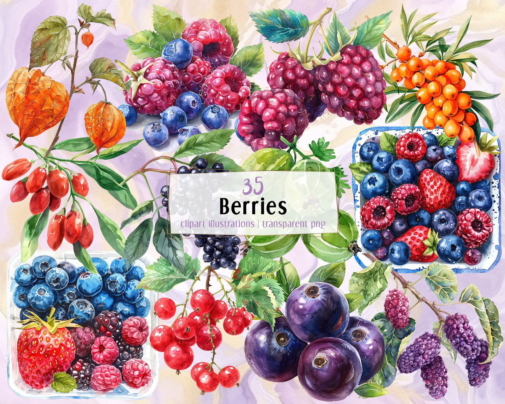 Berries Illustrations. Wild Berry, Mixed Berry Basket Packed Snack