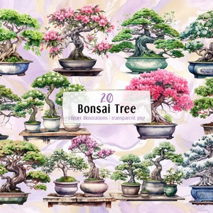 May include: Watercolor illustrations of bonsai trees in various styles, some with pink and green foliage, displayed in decorative pots. The image includes the text "20 Bonsai Tree" and "clipart illustrations | transparent png".