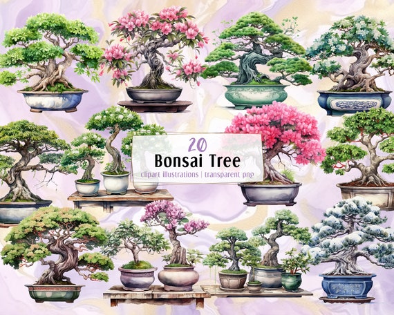 Bonsai Tree Illustrations. Beautiful Tiny Miniature Trees in Pots. East  Asian Japanese Artform Element. Green & Floral Pink | PNG Clip Arts - Etsy
