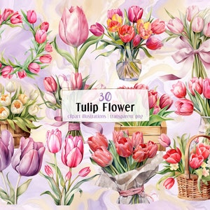 Tulpbloemillustraties. Romantisch bloemenboeket, glazen vaas, houten kistmand, mooie elegante kleurrijke lentebloemen | PNG-illustraties