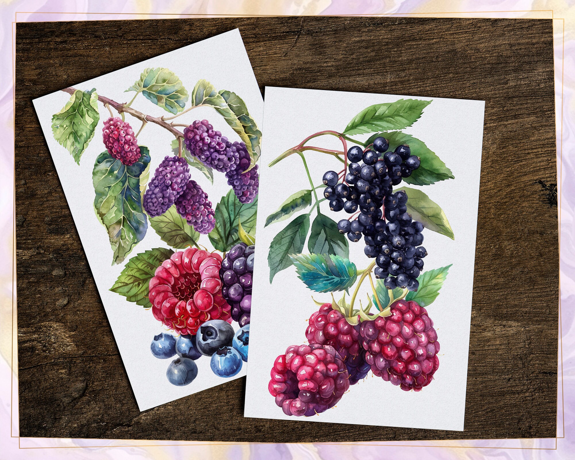 Berries Illustrations. Wild Berry, Mixed Berry Basket Packed Snack