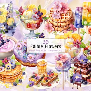 Ilustrações de sobremesas com flores comestíveis. Deliciosos bolos diversos, waffles, sorvetes, drinks decorados com florzinhas coloridas | clipart PNG