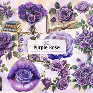 Ilustracje Purple Rose. Romantyczny bukiet kwiatowy, wazony, piękne eleganckie fioletowe główki kwiatów, dekoracyjne róże | PNG clip arts
