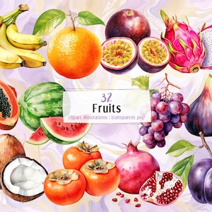 Ilustraciones de frutas. Frutas tropicales y comunes de verano, obras de arte botánicas saludables. Higos Plátano Naranja Coco Manzana Caqui / PNG clip art