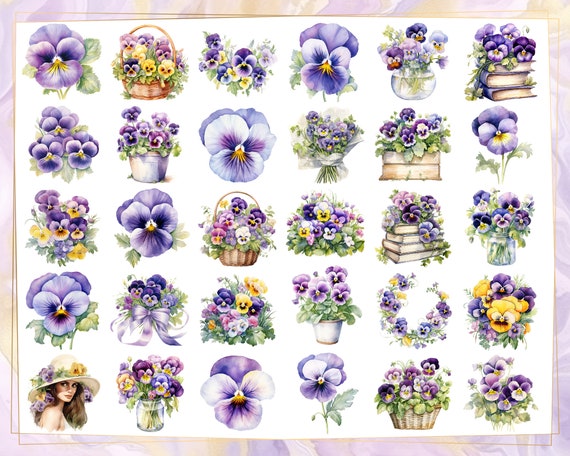 パンジーの花の水彩画風イラスト。ビオラ、すみれ色、紫と黄色の庭の花