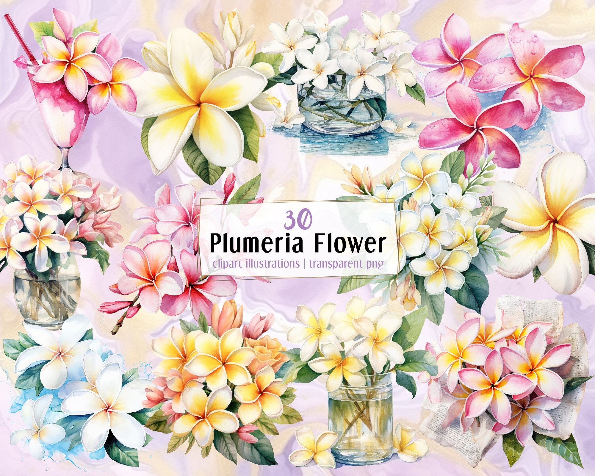 White and pink Plumeria flowers, watercolor style illustrations. Floral decoration, bouquet, tropical frangipani flower head | PNG clip arts