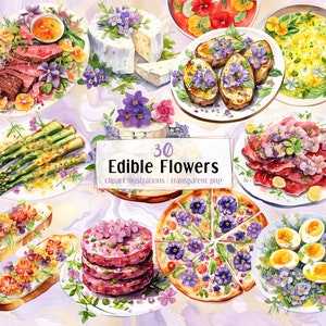 Ilustrações de pratos de flores comestíveis. Deliciosas refeições diversas decoradas com pequenas flores coloridas. Pizza, carne, peixe, salada | Clip-arts PNG