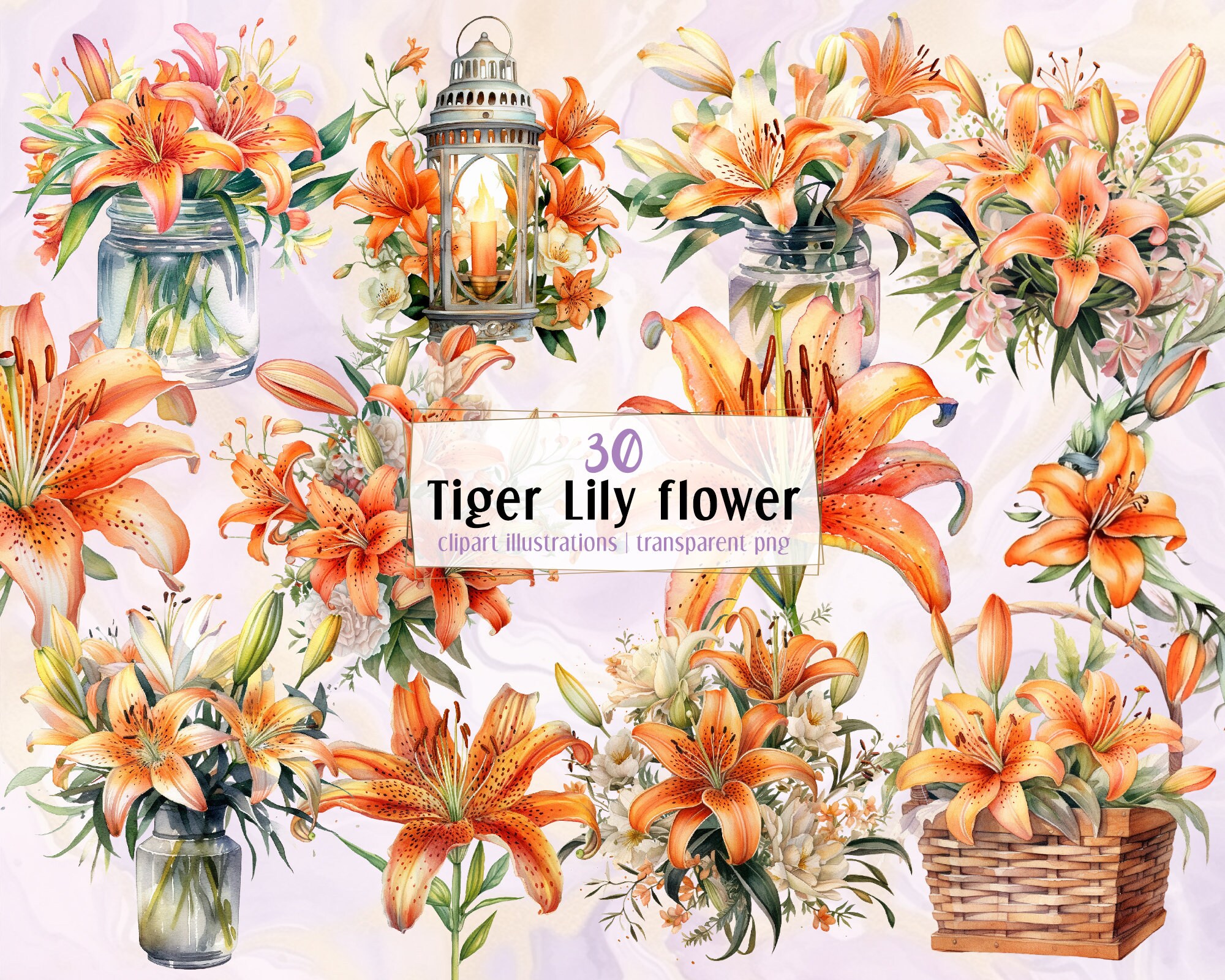さまざまな水彩画のタイガーリリーの花のイラスト。花飾り、ユリの花輪