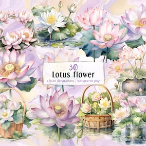 美しい水彩画の蓮の花のイラスト。睡蓮、花飾り、池に咲く植物 | PNG クリップ アート | すぐにダウンロードできます。