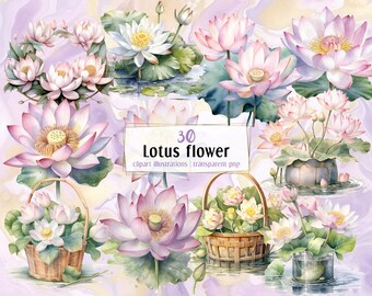 Beautiful watercolor Lotus flower illustrations. Water lily, floral decorations, pond blooming plants | PNG clip arts | instant download.