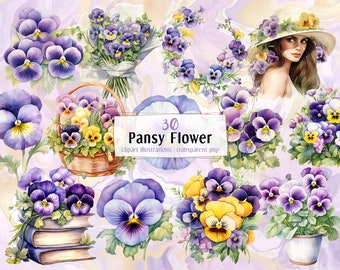 Pansy flower watercolor style illustrations. Viola, violet, purple and yellow garden flowers, floral decoration, flower head | PNG clip arts