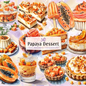 Illustraties papajadessert. Heerlijk exotisch fruitgebak met zaden, taartjes, ijs, sinaasappelmousse, cheesecake | PNG-clip arts