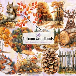 Autumn Woodlands-illustraties. Herfstbossen, prachtige landschappen, gevallen bladeren, rood blad, bosdieren, paddenstoelen | PNG-clip arts