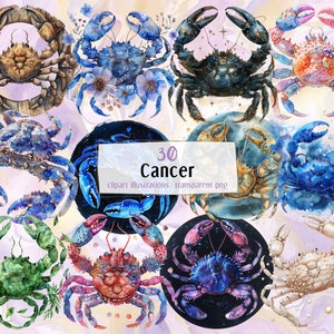 Krebs Illustrationen. Geburtstag Astrologie Wasserzeichen dargestellt durch das Krabbensymbol in verschiedenen Stilen, blumig, pastell | PNG-Clipart