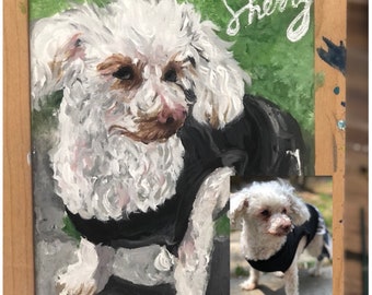 Pintura acrílica mascotas, perro, gato, retratos personalizados