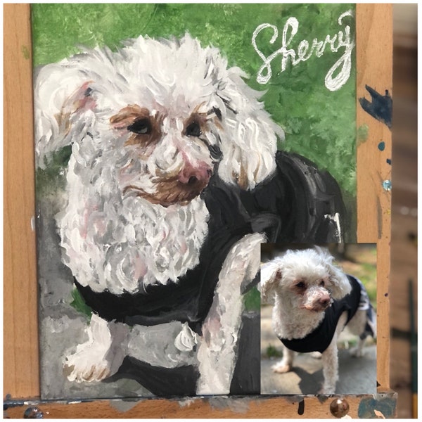 Pintura acrílica mascotas, perro, gato, retratos personalizados