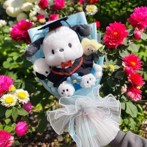 Abschluss Plüsch Blumenstrauß Variationen | Handgefertigte Blumen | Sanrio Plüsch Blumenstrauß | Geschenk für Sie | Plüschtier | Geschenk zum Abschluss