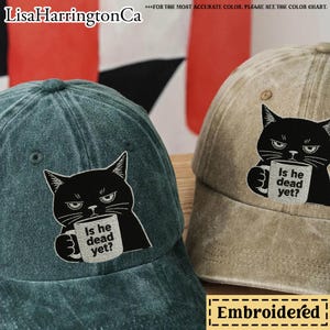 刺繍入り「Is He Dead Yet」猫帽子、反トランプ・反ファシズム帽子、控えめなFDT帽子、抗議デモ、リベラル活動家、政治活動家、猫好き