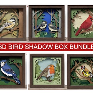 May include: A collection of six framed 3D bird shadow boxes. Each box features a different colorful bird design, including a chickadee, cardinal, and blue jay, set against a layered forest backdrop. The text "3D BIRD SHADOW BOX BUNDLE" is displayed.