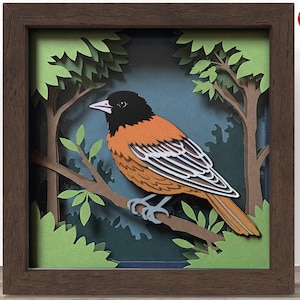 Oriole de Baltimore 3D boîte d'ombre SVG, fichier Cricut SVG, fichier de boîte d'ombre d'oiseau, fichier de coupe papier cartonné SVG 3D, CrafterLobby