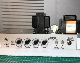 Super Reverb / Vibroverb tube guitar amplifier. Tube Amp.