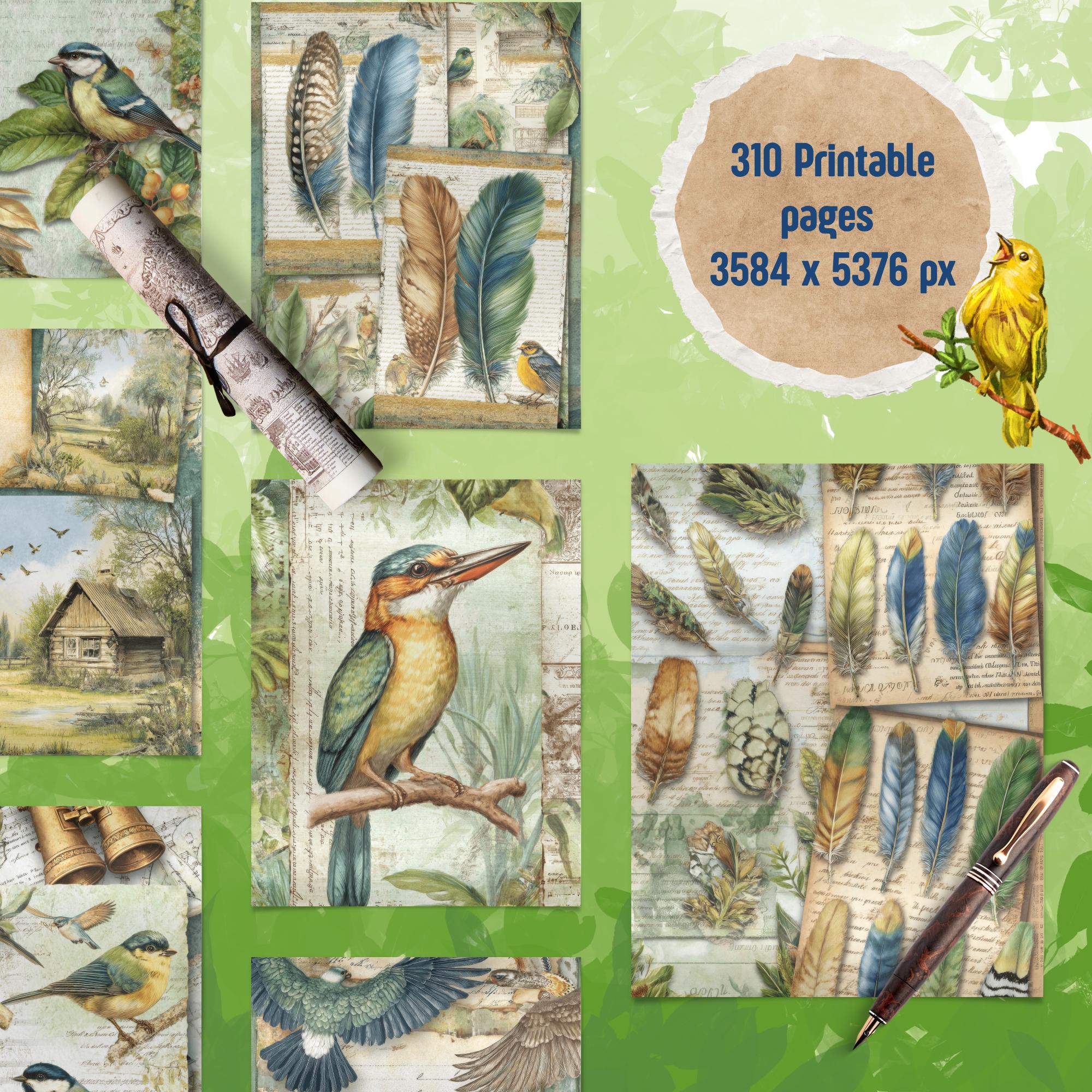 Birdwatcher Junk Journal Pages, 300+ Vintage Birds Digital Paper ...