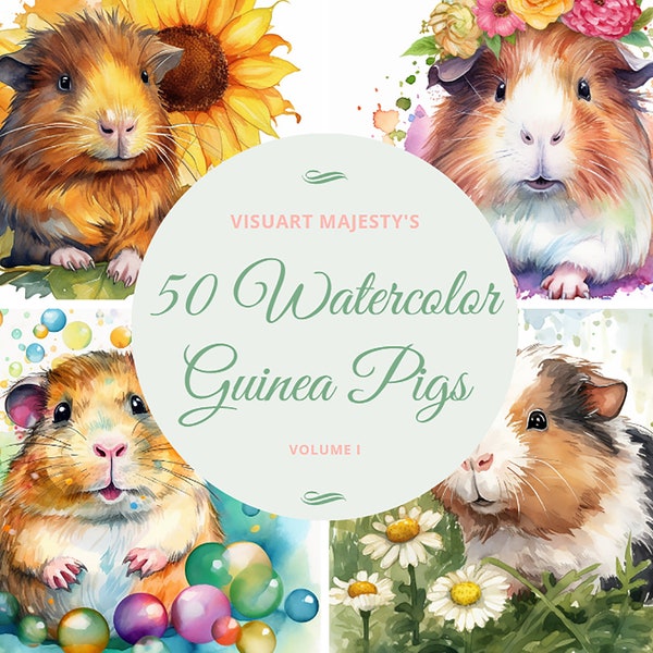 Guinea pig png, watercolor clipart, baby shower decor, clip art bundle, Guinea pig png clipart. 50 High-Quality PNG Images