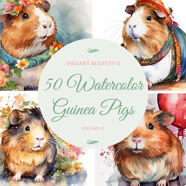Guinea pig png, watercolor clipart, baby shower decor, clip art bundle, Guinea pig png clipart. 50 High-Quality PNG Images Volume 2