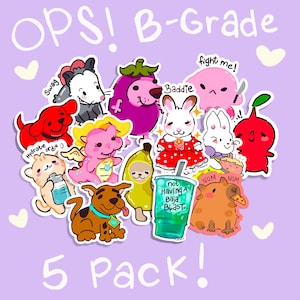 Sac Mystery Oups | Joli pack d'autocollants esthétiques de catégorie B | 5 pièces | Pack d'autocollants de qualité B