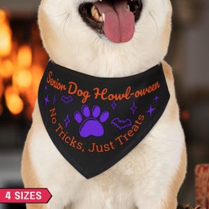Senior Dog Halloween Bandana Costume, Fun Spooky but Sweet Dog Collar Halloween Gift, Senior Pup Keepsake Dog Scarf, Gift for Dog Lovers