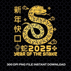 Chinese New Year 2025, Happy Lunar New Year Png, Celebrate Lunar New Year Family Png, Golden Snake 2025 Tee, New Year Family Gifts