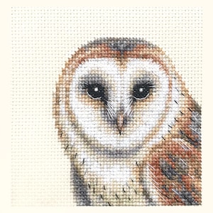 May include: A cross-stitch embroidery of a barn owl featuring a heart-shaped white facial disc, dark eyes with long eyelashes, and plumage in shades of tan, brown, grey, and white, all worked on a light-coloured grid-patterned fabric background.