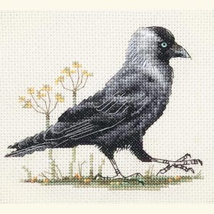 May include: Cross-stitch design of a black and grey bird with a light grey head and a black beak. The bird is walking on green grass with yellow flowers in the background. The background is a light beige colour.