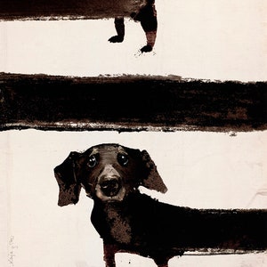 Dackel in Filmen, polnisches Plakat Entworfen von Ryszard Kaja. Poster mit Dackel Hund über Hunde in Filmen Aufführungen in Polen