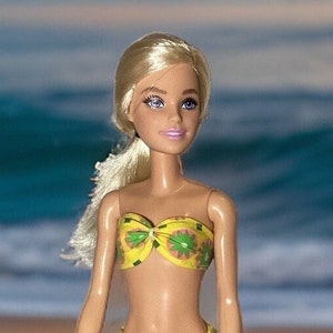 Vintage Barbie Bikini