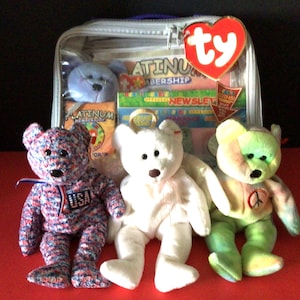 Beanie Baby Case and Collection