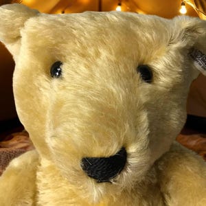 May include: Close-up of a plush teddy bear with a light yellow fur. The bear has black eyes and a black stitched nose. A small tag is attached to the ear. The background is blurred with warm lighting.