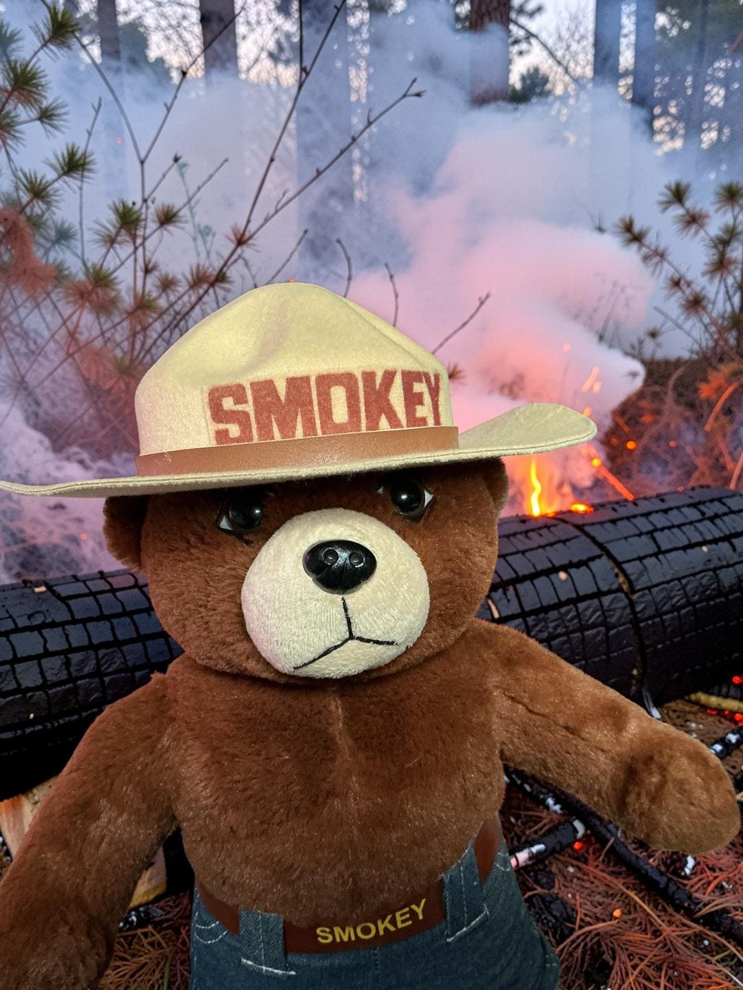 Vintage Smokey Bear - Etsy